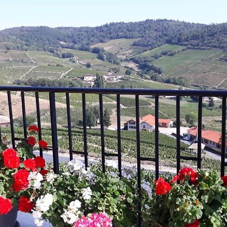 Domaine Du Coteau Des Lys Hotel Fleurie Ngoại thất bức ảnh