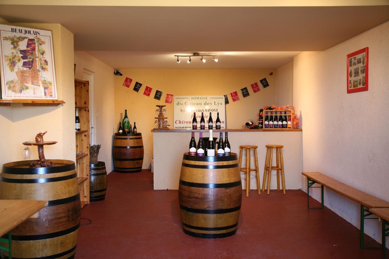 Domaine Du Coteau Des Lys Hotel Fleurie Ngoại thất bức ảnh