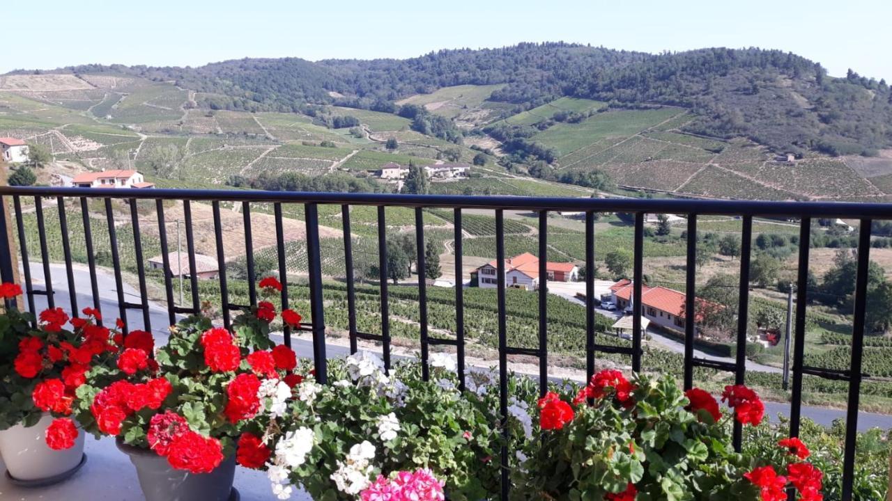 Domaine Du Coteau Des Lys Hotel Fleurie Ngoại thất bức ảnh